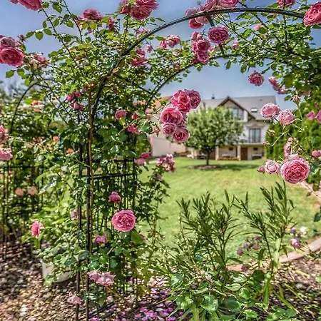 Laky * ザラカロシュ